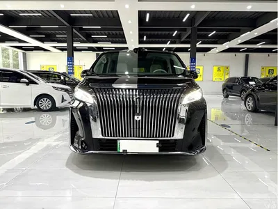 2025 WEY Alpine AWD Alpine 9, фото 2, лот 10834017