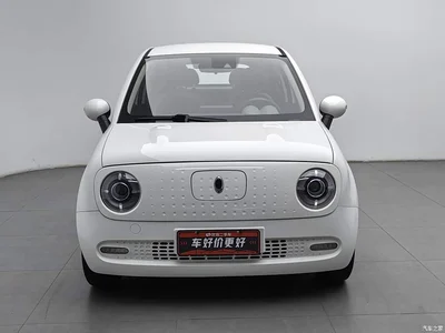 2021 Ora Black Cat 351km Luxury Model, фото 3, лот 10331635