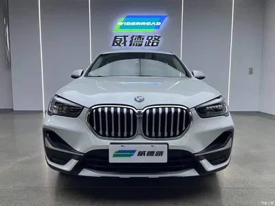 2020 BMW X1 sDrive20Li Premium Edition, фото 2, лот 11183555
