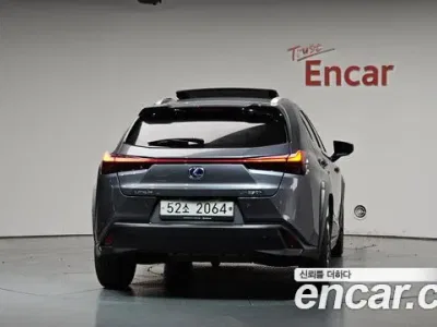2019 Lexus UX 250h 2.0 2WD, фото 4, лот 10033183