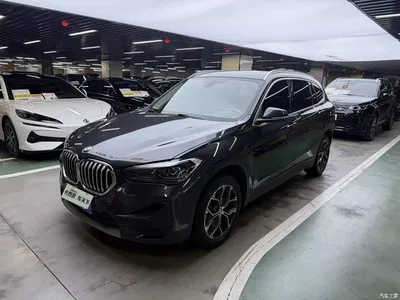 2022 BMW X1 sDrive25Li Leading, фото 1, лот 10402219