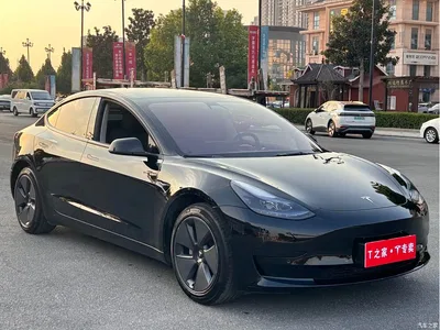 2022 Tesla Model 3 Model Rear-Wheel Drive Version, фото 3, лот 10452115