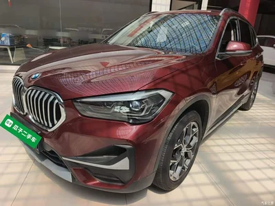 2020 BMW X1 sDrive20Li Premium Edition, фото 1, лот 10467259