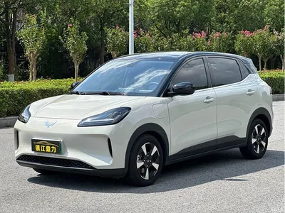 2024 Wuling Motors Wuling Binguo PLUS 510km Range 5-seater, фото 1, лот 10836393