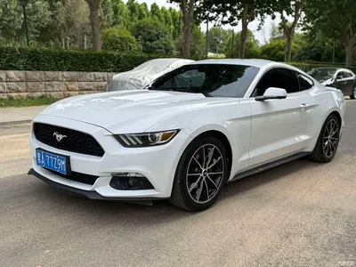 2015 Ford Mustang, фото 1, лот 10280029