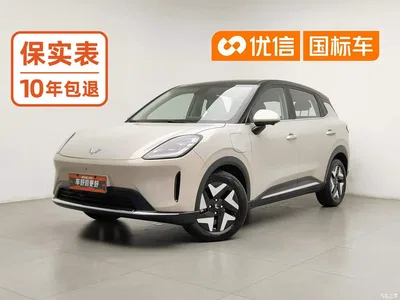 2025 Wuling Motors Wuling Bingo S Model 325km Flagship Edition, фото 1, лот 10836451