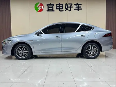 2023 BYD Qin PLUS Champion Edition DM-i 120KM Excellence, фото 4, лот 10364305
