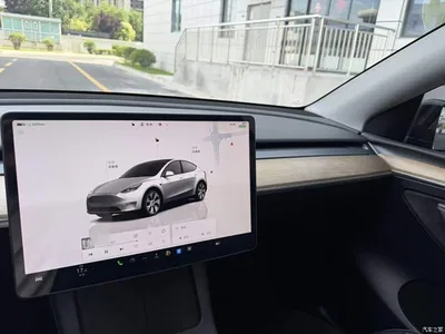2022 Tesla Model Y Rear-Wheel Drive Version, фото 4, лот 10374209