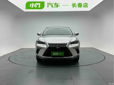 2020 Lexus NX 200 FWD Sharp Edition China V, фото 2, лот 10312673