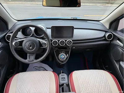 2019 Ora Black Cat Model 351km Smart Fun Edition, фото 4, лот 10331472