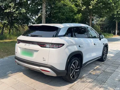 2025 BYD Song L DM-i Model Smart Drive Edition 112km Leading Type, фото 4, лот 10276992