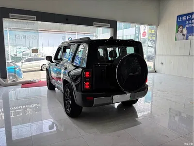 2024 Haval Meng Long NEV Hi4 145 Cross-country Edition, фото 4, лот 10284998