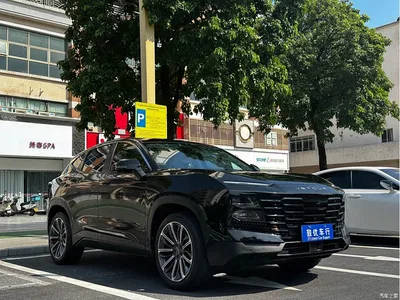 2022 Jetour Dasheng Model 1.6T DCT King MAX, фото 3, лот 10830763