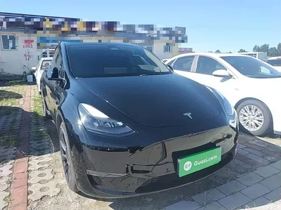 2021 Tesla Model Y Standard Range Rear-Wheel Drive, фото 4, лот 10369612