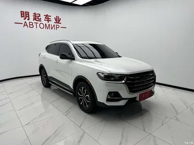 2021 Haval H6 National Trend Edition 1.5T Automatic Urban Edition, фото 3, лот 10296611