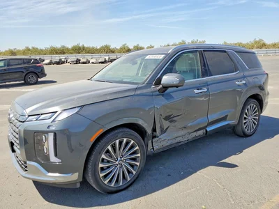 2025 HYUNDAI PALISADE CALLIGRAPHY, фото 1, лот 10756492