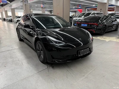 2022 Tesla Model 3 Model Rear-Wheel Drive Version, фото 3, лот 10366760