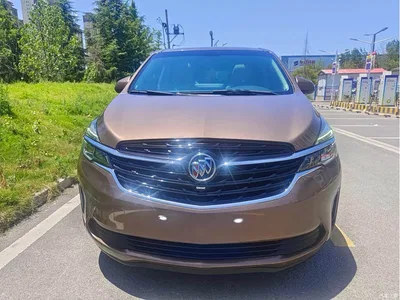 2020 Buick GL8 Model Land Business Class 652T Luxury, фото 2, лот 10250421