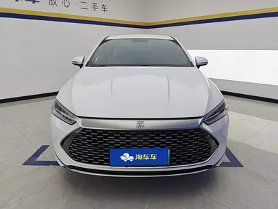 2024 BYD Qin PLUS Glory Edition DM-i 55KM Leading, фото 2, лот 10364131