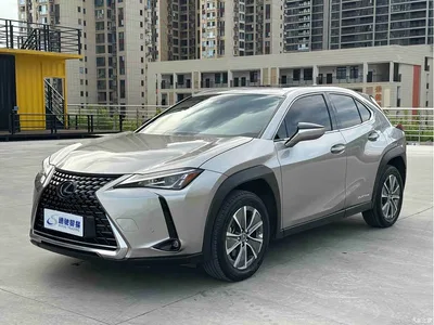 2020 Lexus UX Electric 300e Pure Yue Edition, фото 1, лот 11137893