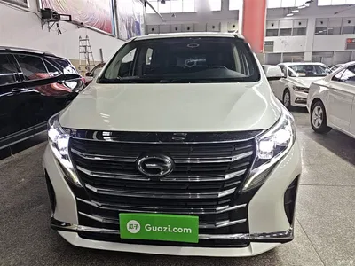 2023 GAC Trumpchi Trumpchi M8 Leading Series 390T Luxury Edition, фото 3, лот 10425043