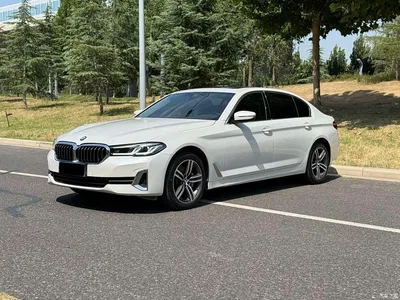 2022 BMW 5 Series 530Li Leading Luxury Package, фото 1, лот 11081600