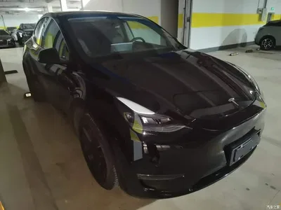 2021 Tesla Model Y Model Long Range AWD, фото 4, лот 11476217