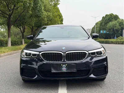 2020 BMW 5 Series 525Li M Sport Package, фото 2, лот 10668305