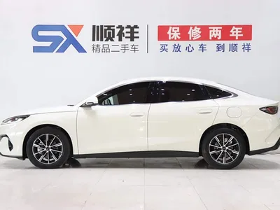 2024 BYD Seal 06 New Energy DM-i 80KM Prestige, фото 4, лот 10393172