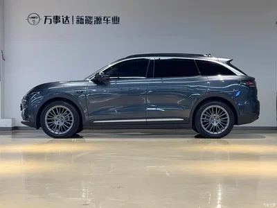 2024 Leapmotor C11 Pure Electric 580 Premium Edition, фото 3, лот 10443647