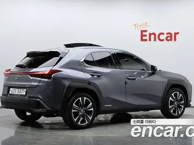 2019 Lexus UX 250h 2.0 AWD, фото 1, лот 10032841
