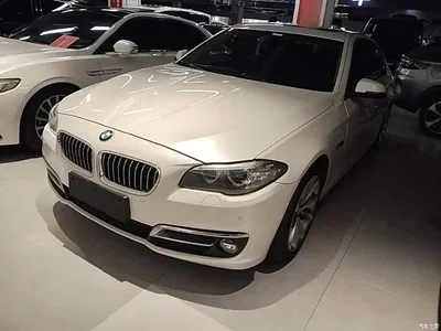 2017 BMW 5 Series 525Li Leading Edition, фото 1, лот 10482656