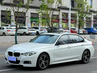 2018 BMW 3 Series 320Li Leading M Sport Package, фото 1, лот 10575222
