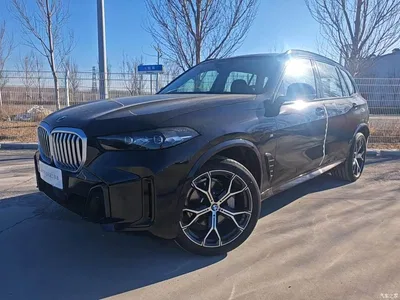 2025 BMW X5 Model xDrive 30Li Exclusive M Sport Blackout Package, фото 1, лот 10462696