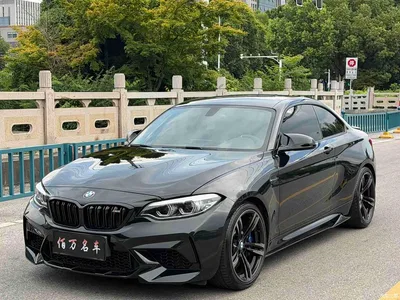 2018 BMW M2 Thunder Edition, фото 1, лот 10477919