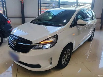 2021 Buick GL8 Land Business Class 652T Luxury Welfare Edition, фото 1, лот 10258524