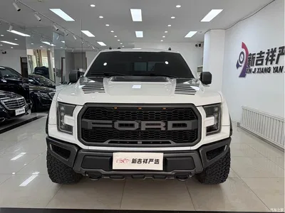 2018 Ford F-150 Raptor 3.5T Raptor Performance Enhanced Edition, фото 2, лот 10297194