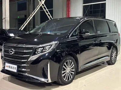 2021 GAC Trumpchi Trumpchi M8 Leading Show Series 390T Ultimate Edition, фото 1, лот 10416235