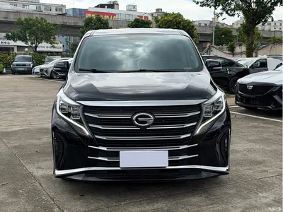 2024 GAC Trumpchi Trumpchi M8 Leadershow Series 390T Luxury Edition, фото 2, лот 10415433