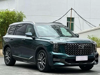2022 GAC Trumpchi Trumpchi GS8 Pilot Series 2.0TGDI 2WD Premium Edition (6-Seater), фото 3, лот 10417855