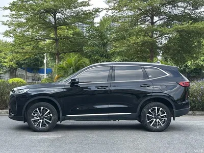 2024 Haval H6 1.5T 2WD Pro, фото 3, лот 11098598