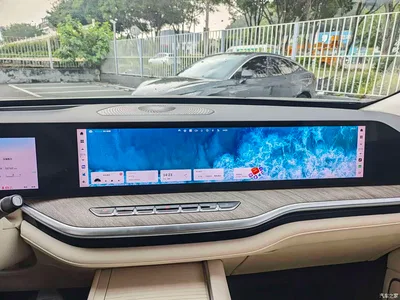 2023 WEY Lanshan AWD Ultra Long Range Edition, фото 4, лот 11175307