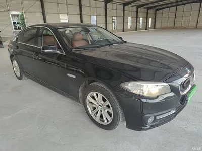 2014 BMW 5 Series 520Li Elegance, фото 4, лот 11584666