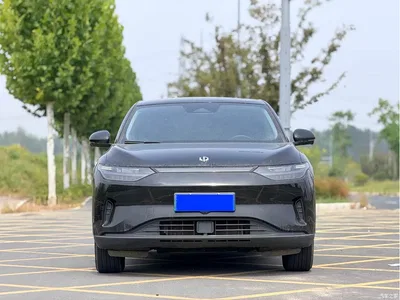 2023 Leapmotor C11 Pure Electric 500 Comfort Edition, фото 2, лот 10812916