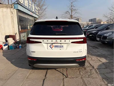 2021 Hyundai Kustu 380TGDi Smart Love Premium LUX Premium, фото 4, лот 10836362