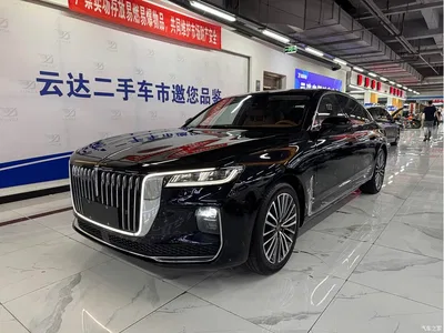 2020 Hongqi H9 2.0T Smart Connection Qi Chang Edition, фото 2, лот 10670941