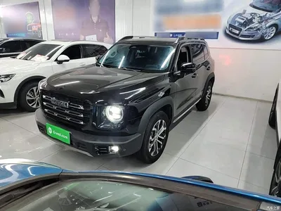 2021 Haval Big Dog 2.0T DCT 2WD Chinese Hound Edition, фото 2, лот 10361316