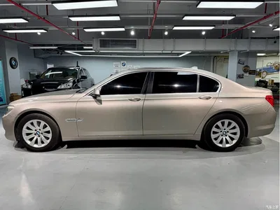 2009 BMW 7 Series 740Li Premium, фото 4, лот 10459126