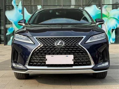 2020 Lexus RX Facelift 300 AWD Luxury Edition, фото 2, лот 10317851