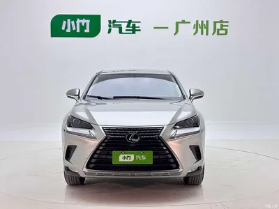 2020 Lexus NX 200 FWD Fengyi Edition China VI, фото 2, лот 10312684